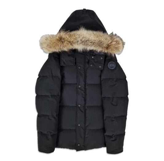 Men's black Dawens Store Goose WDM jacket with hood, front zipper, and quilted design, suitable for casual outdoor wear.