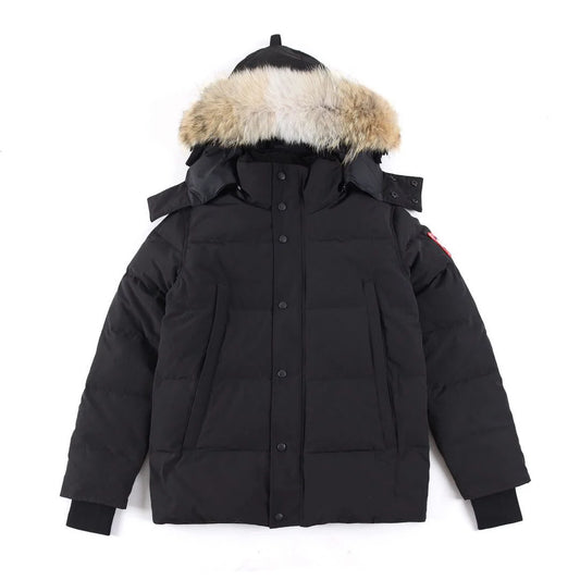 Men's black Goose WDM jacket by Dawens Store, shown in a sleek, stylish design with front zipper and stand-up collar.